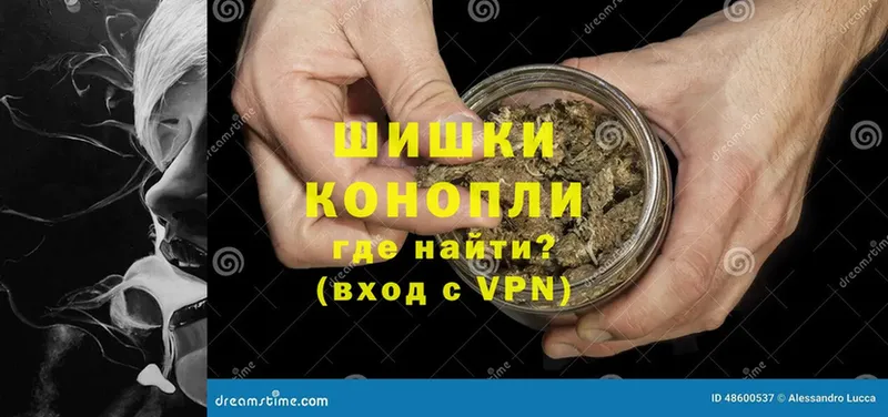 как найти   Светлоград  Бошки марихуана White Widow 